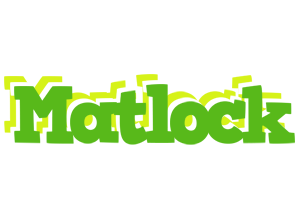 Matlock picnic logo