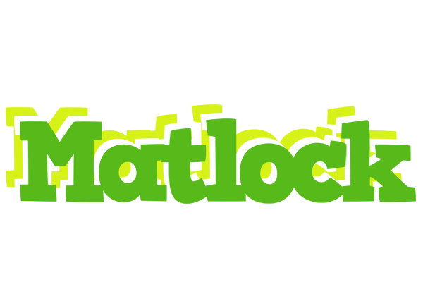 Matlock picnic logo