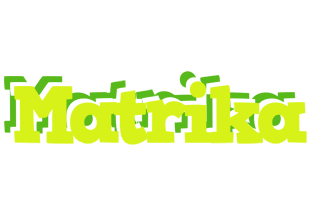 Matrika citrus logo