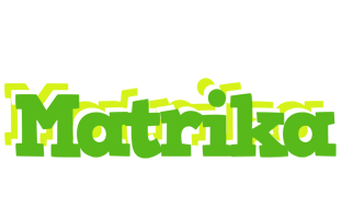 Matrika picnic logo