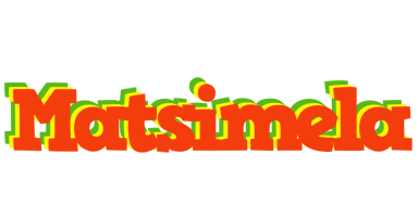 Matsimela bbq logo