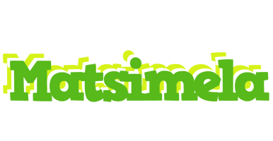 Matsimela picnic logo
