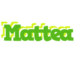 Mattea picnic logo