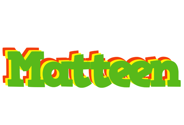 Matteen crocodile logo