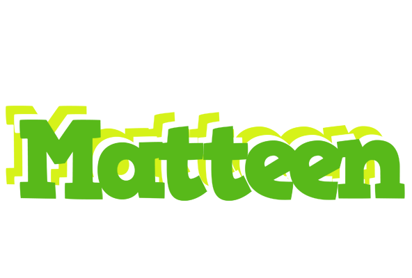 Matteen picnic logo