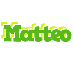 Matteo picnic logo