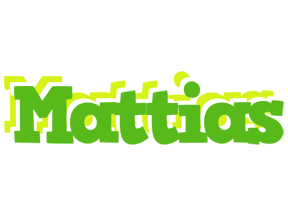 Mattias picnic logo