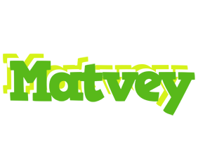 Matvey picnic logo