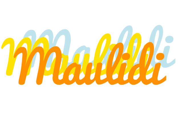 Maulidi energy logo