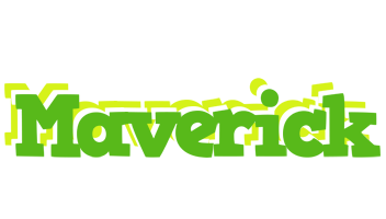 Maverick picnic logo