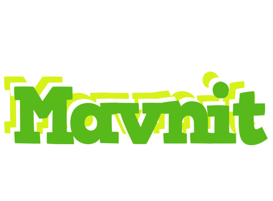 Mavnit picnic logo