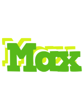 Max picnic logo