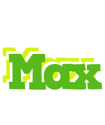 Max picnic logo