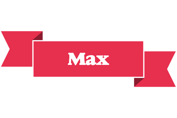 Max sale logo