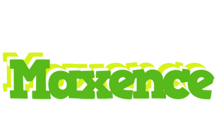 Maxence picnic logo