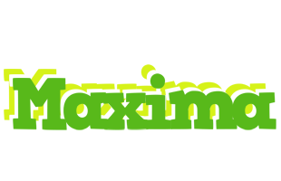 Maxima picnic logo