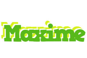 Maxime picnic logo