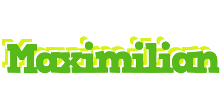 Maximilian picnic logo