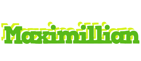 Maximillian picnic logo