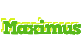 Maximus picnic logo