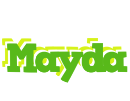 Mayda picnic logo