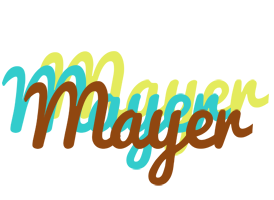Mayer cupcake logo