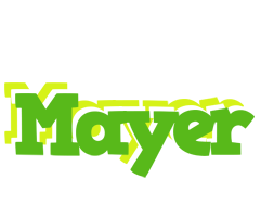 Mayer picnic logo