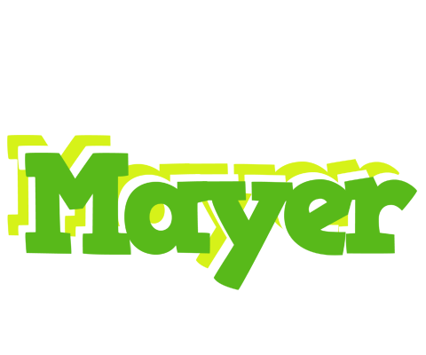 Mayer picnic logo