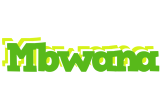 Mbwana picnic logo