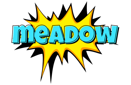 Meadow indycar logo