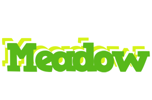 Meadow picnic logo