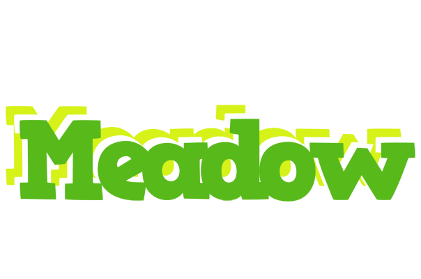 Meadow picnic logo