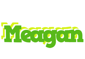 Meagan picnic logo