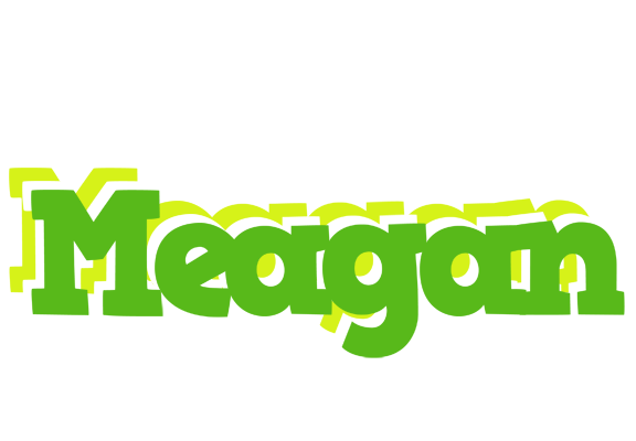Meagan picnic logo