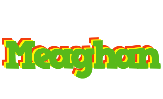 Meaghan crocodile logo