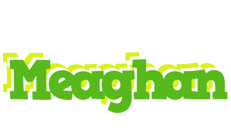 Meaghan picnic logo