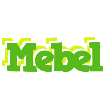 Mebel picnic logo