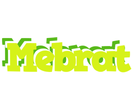 Mebrat citrus logo