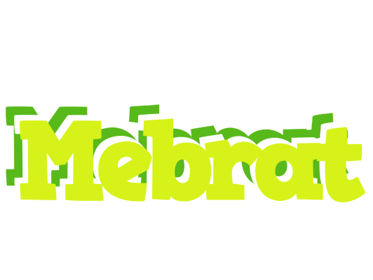 Mebrat citrus logo