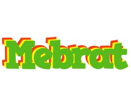 Mebrat crocodile logo