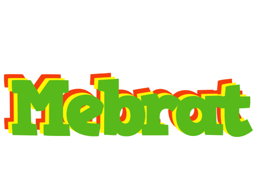 Mebrat crocodile logo