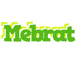 Mebrat picnic logo