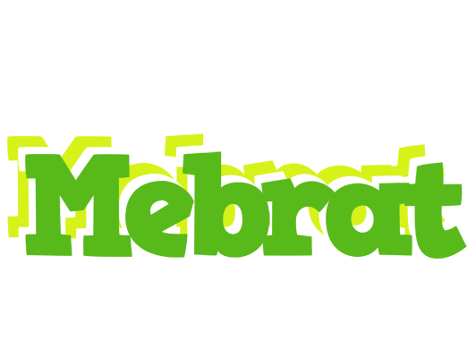 Mebrat picnic logo