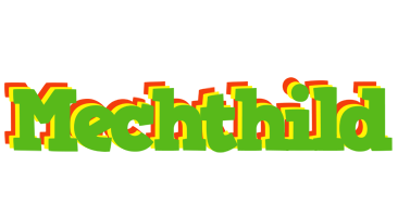 Mechthild crocodile logo