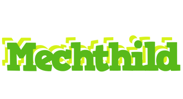 Mechthild picnic logo