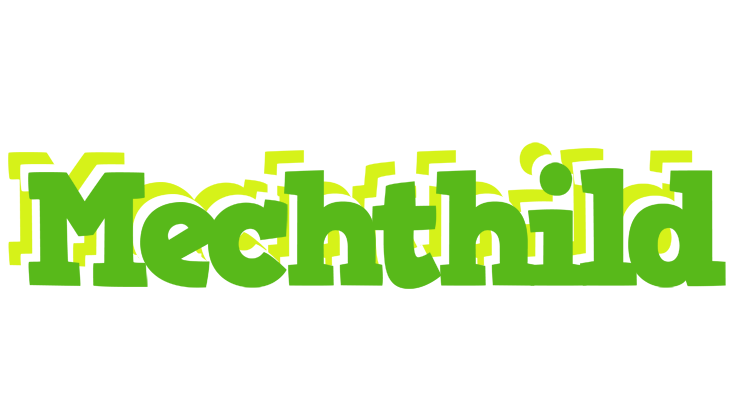 Mechthild picnic logo