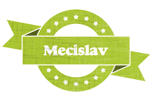 Mecislav change logo