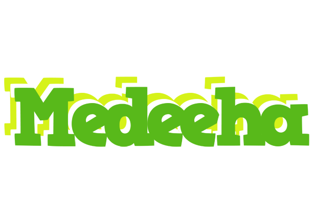 Medeeha picnic logo