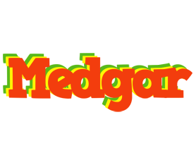 Medgar bbq logo