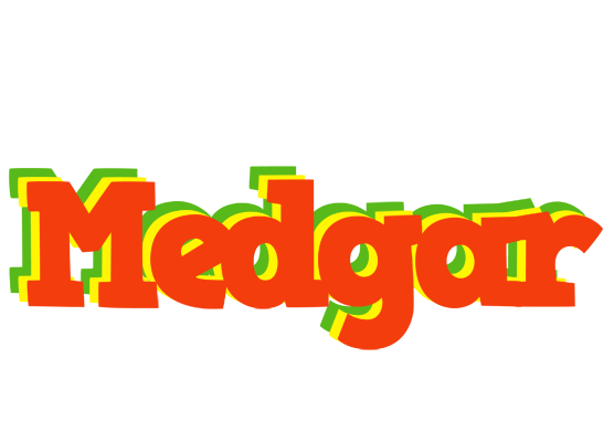 Medgar bbq logo